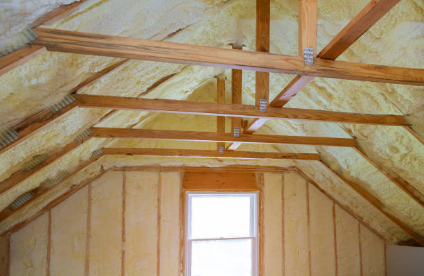 Best Commercial Insulation in Trowbridge Park, MI