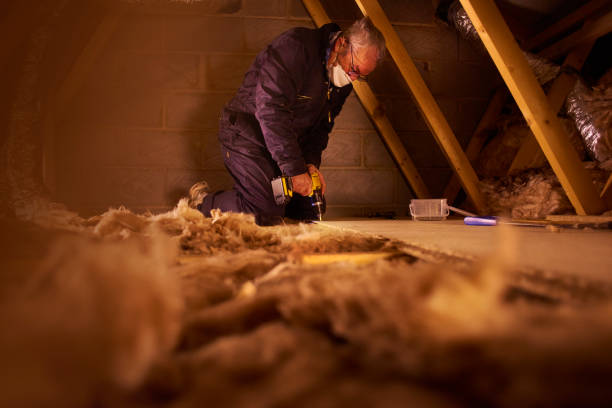 Best Specialized Insulation Services in Trowbridge Park, MI