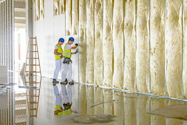 Best Energy Efficiency Insulation in Trowbridge Park, MI